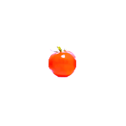 tomato-die
